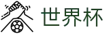 2026FIFA世界杯官方服务大厅_会员专属通道